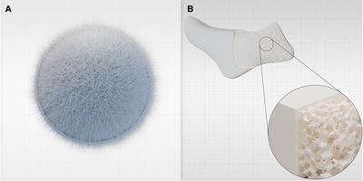 Advancements in facial implantology: a review of hydroxyapatite applications and outcomes